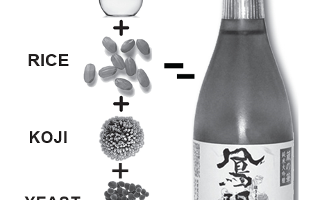 Sake homebrew kit VisionBrewing koji-kin koji tane 50 gm Asperegillus 0ryzae 